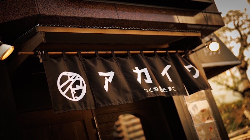 大衆酒場 つくねとたまごアカイワ 赤羽店の店舗写真