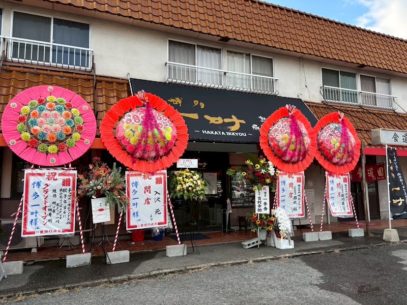 博多 一叶の店舗写真
