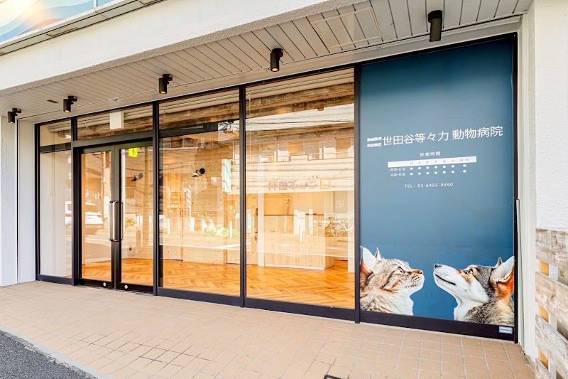 世田谷等々力動物病院