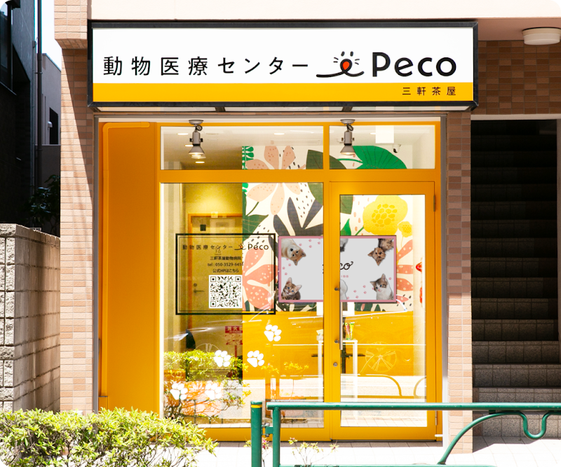 三軒茶屋動物病院Peco（猫専用待合室完備）