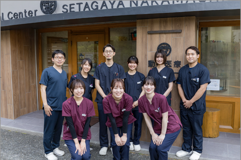 動物医療センター世田谷中町