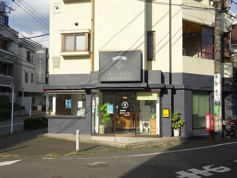 瀬田犬猫病院