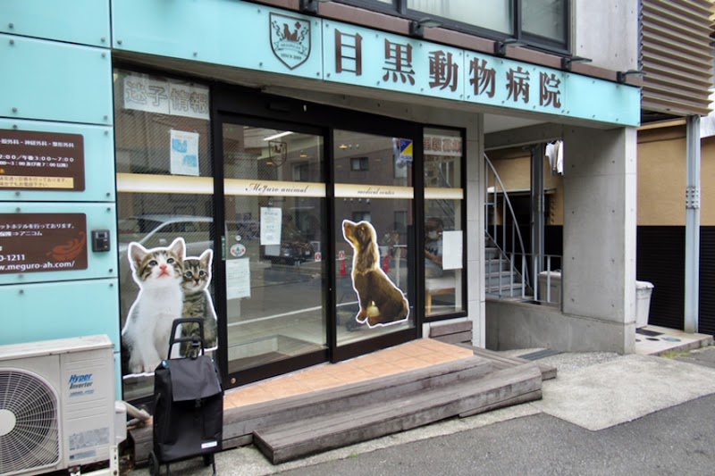 目黒動物病院
