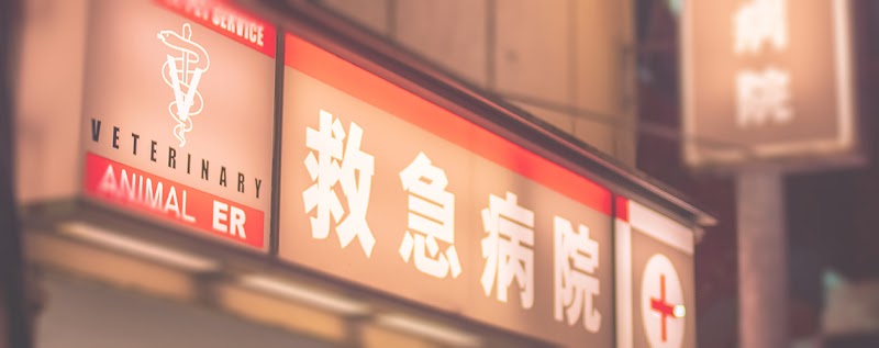 夜間救急動物病院目黒