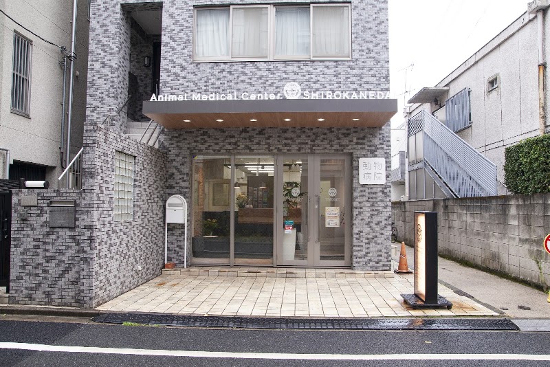 動物医療センター白金台