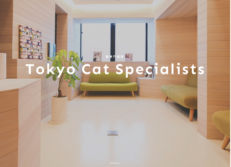 Tokyo Cat Specialists