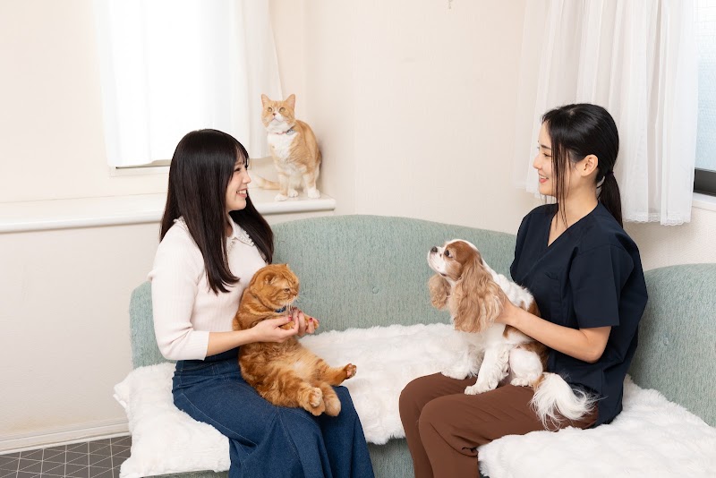 往診専門 ノートル動物病院