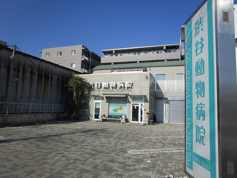 渋谷動物病院の店舗写真