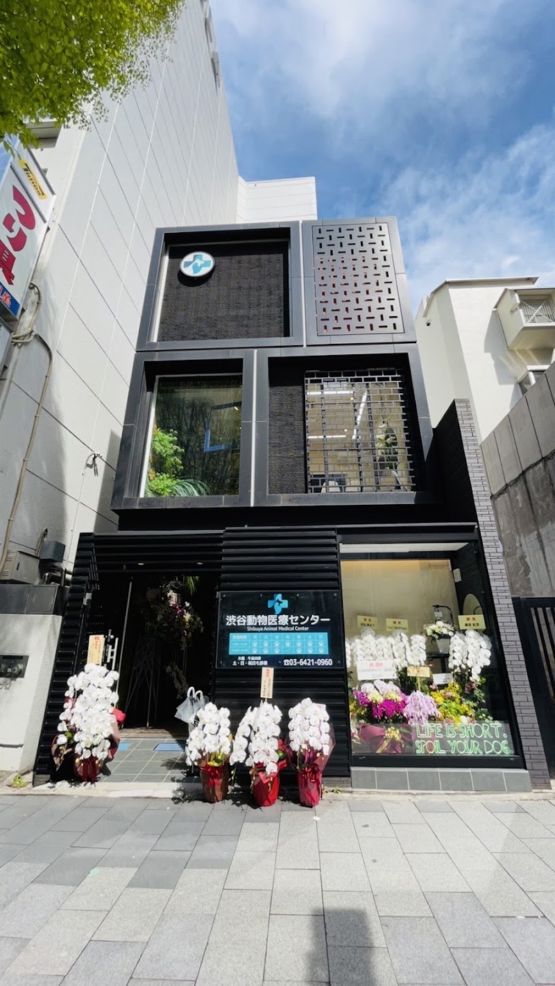 渋谷動物医療センター
