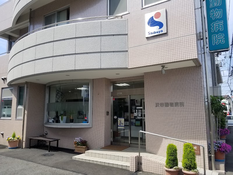 渋谷動物病院の店舗写真