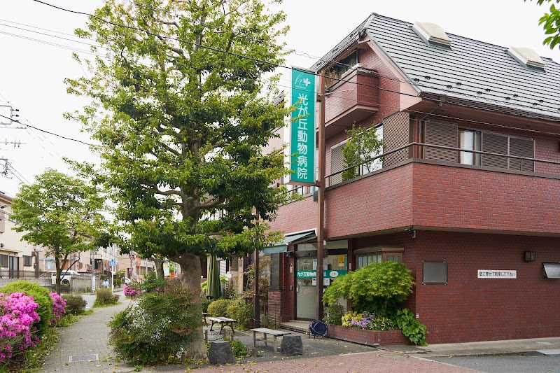 光が丘動物病院 練馬本院