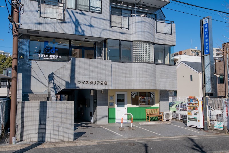 はぎわら動物病院