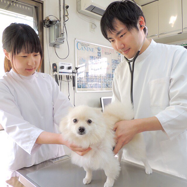 もえぎの動物病院