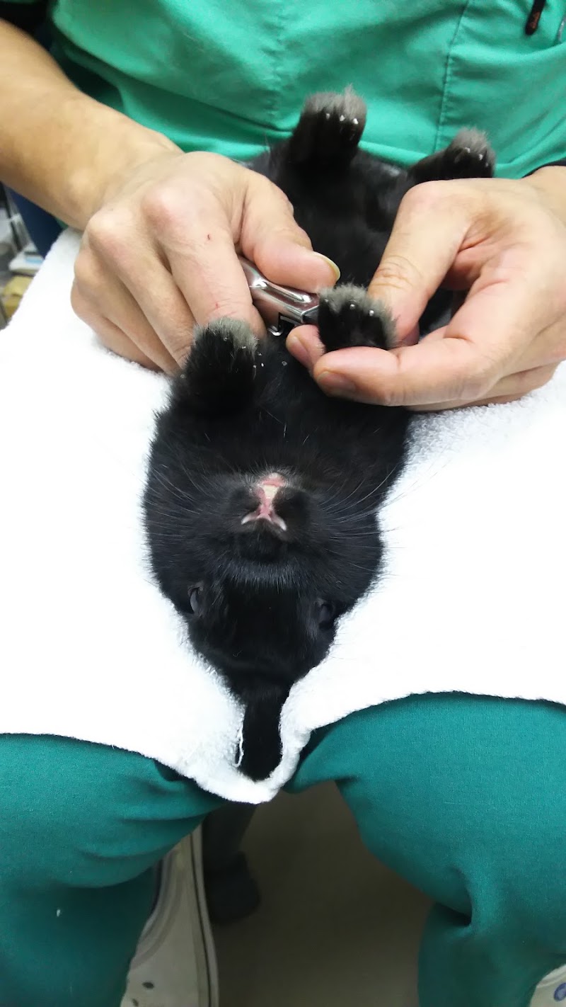 すすきの動物病院