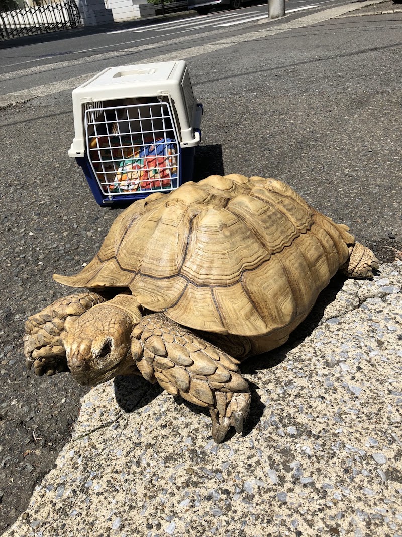 ポー・リー動物病院