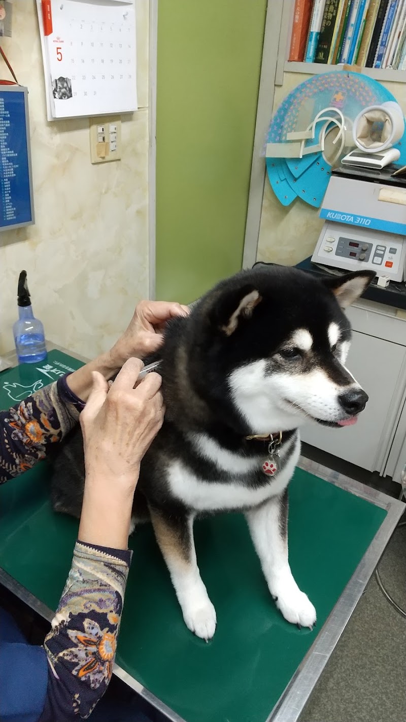 有馬動物病院