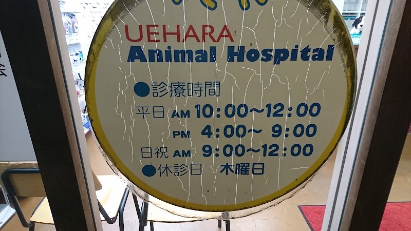 上原どうぶつ病院の店舗写真