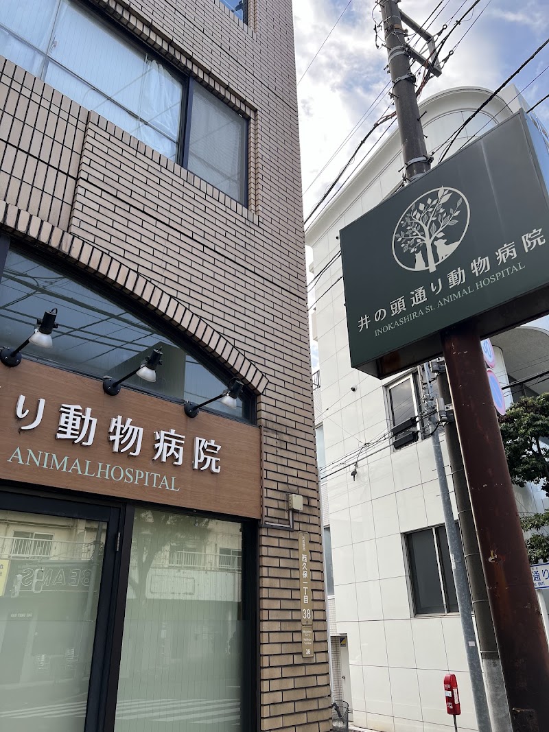 井の頭通り動物病院