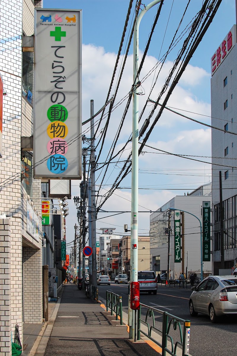 てらぞの動物病院