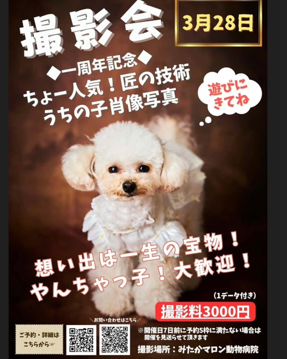みたかマロン動物病院
