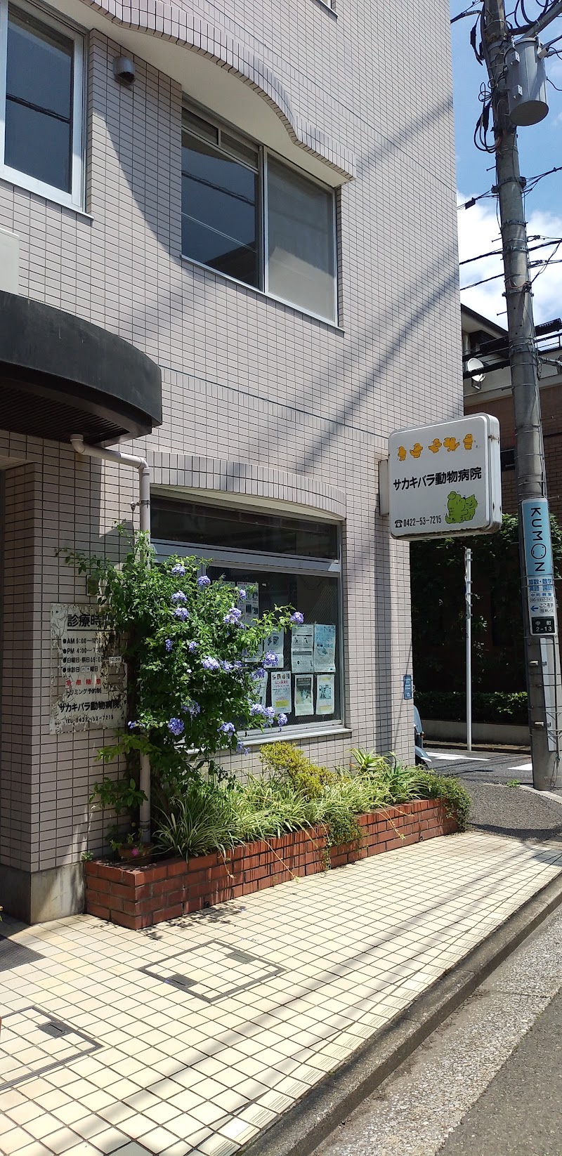 サカキバラ動物病院