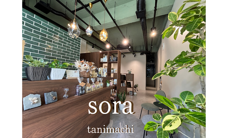 sora tanimachi