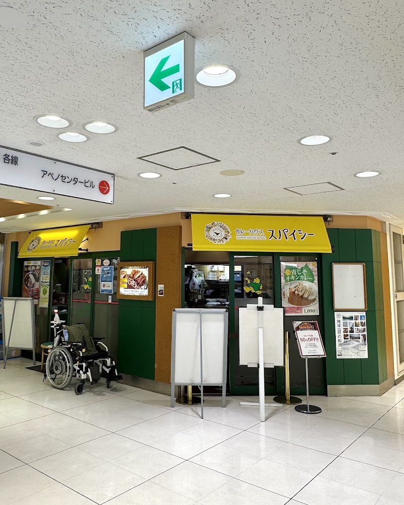 カレーハウススパイシー アポロ店