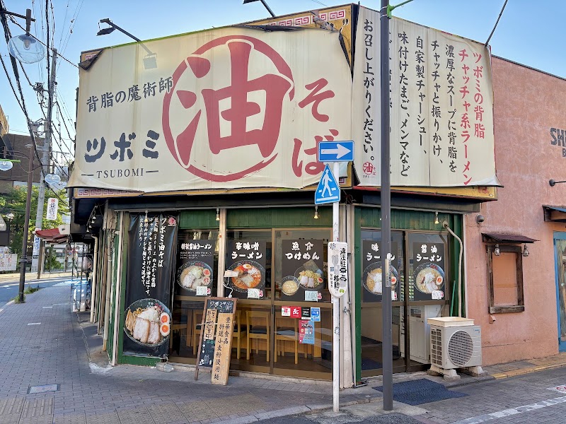 背脂の魔術師ツボミ